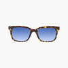 Okulary SCICON ROYGO Demi Gloss - Blue Gradient Lens