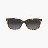 Okulary SCICON ROYGO Demi Gloss - Polarized Smoke Lens